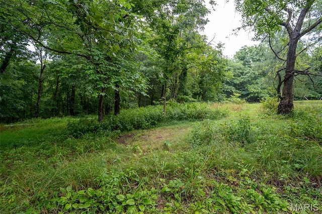 3861 Greenhouse Rd, De Soto, MO 63020 - photo 4