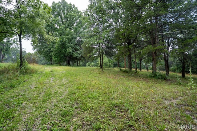 3861 Greenhouse Rd, De Soto, MO 63020 - photo 5