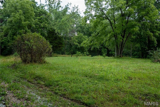 3861 Greenhouse Rd, De Soto, MO 63020 - photo 6