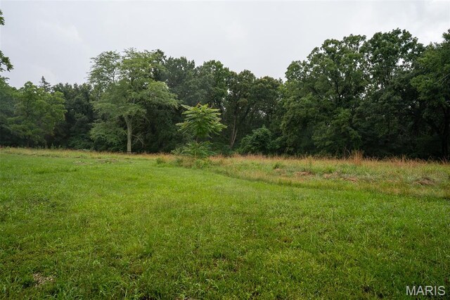 3861 Greenhouse Rd, De Soto, MO 63020 - photo 7