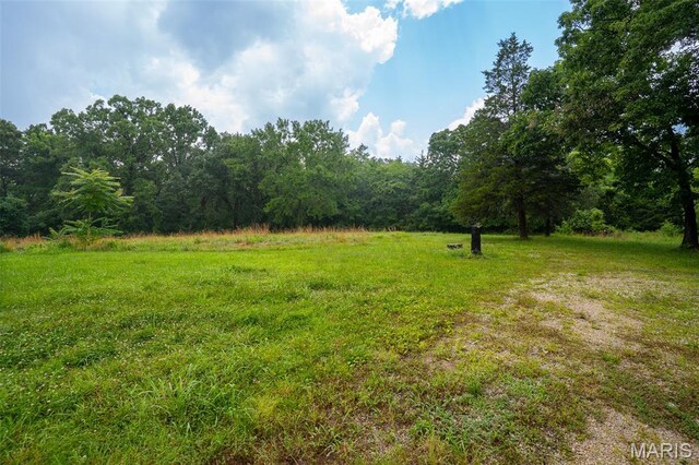 3861 Greenhouse Rd, De Soto, MO 63020 - photo 8