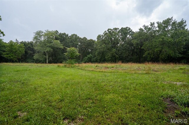 3861 Greenhouse Rd, De Soto, MO 63020 - photo 9