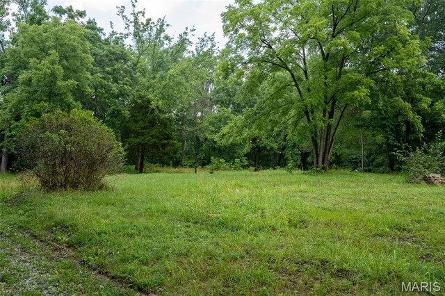 3861 Greenhouse Rd, De Soto, MO 63020 - photo 10
