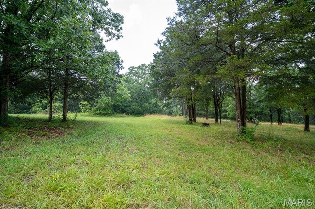 3861 Greenhouse Rd, De Soto, MO 63020 - photo 11