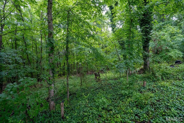 3861 Greenhouse Rd, De Soto, MO 63020 - photo 12