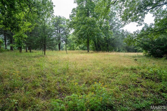 3861 Greenhouse Rd, De Soto, MO 63020 - photo 13