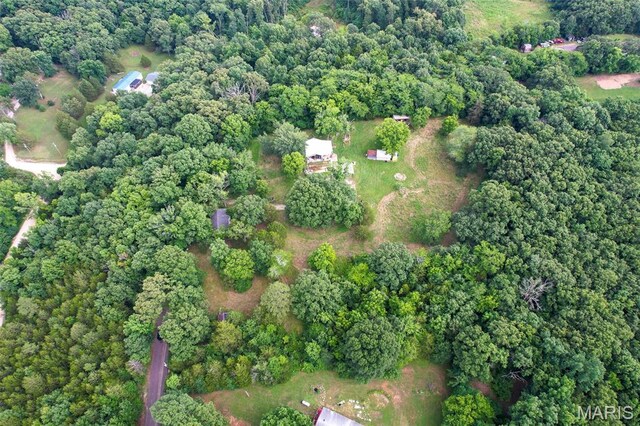 3861 Greenhouse Rd, De Soto, MO 63020 - photo 18