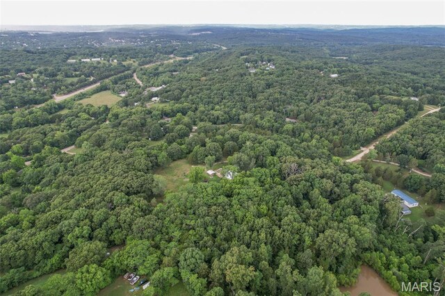 3861 Greenhouse Rd, De Soto, MO 63020 - photo 22