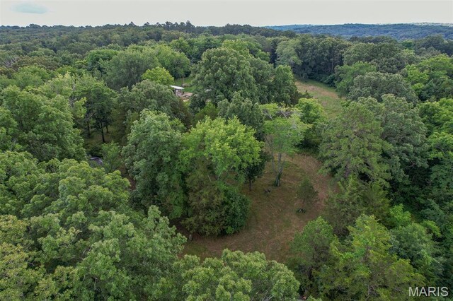 3861 Greenhouse Rd, De Soto, MO 63020 - photo 29