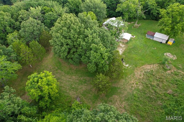 3861 Greenhouse Rd, De Soto, MO 63020 - photo 30