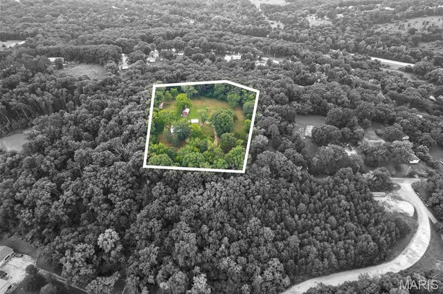 3861 Greenhouse Rd, De Soto, MO 63020 - photo 40