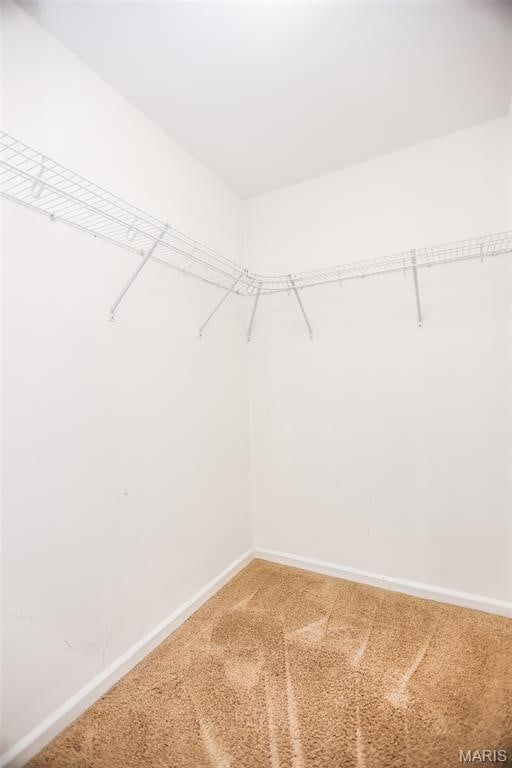 163 Brandy Mill Cir Unit E, High Ridge, MO 63049 - photo 19