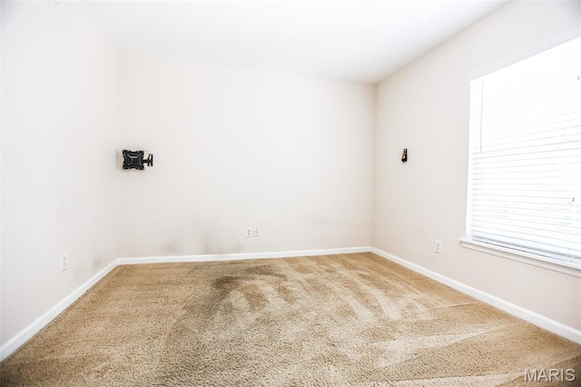 163 Brandy Mill Cir Unit E, High Ridge, MO 63049 - photo 20