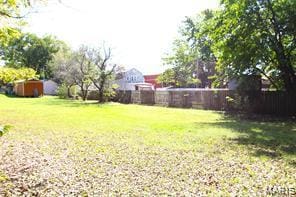 805 N Carleton, Farmington, MO 63640 - view of fenced backyard