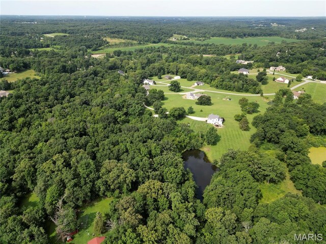 9 Buelah Dr, Troy, MO 63379 - photo 20