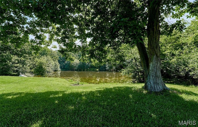 9 Buelah Dr, Troy, MO 63379 - photo 63