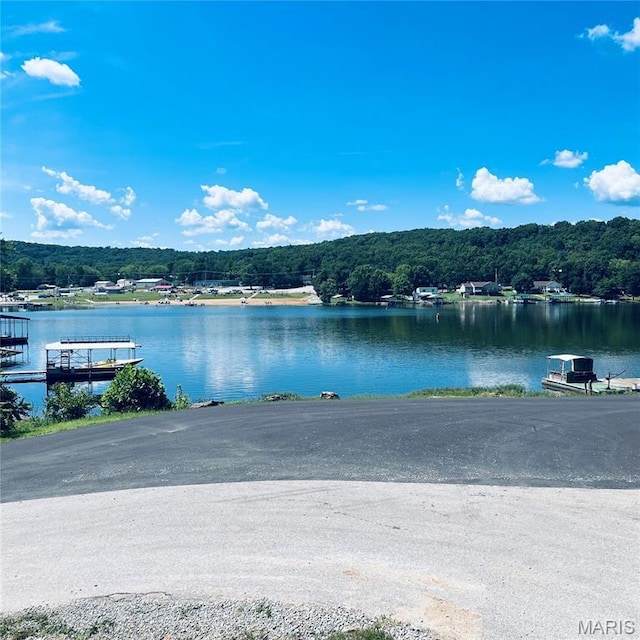 9015 Bookholtz Rd Unit 9007, French Village, MO 63036 - photo 6