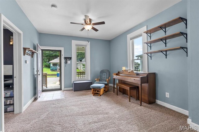 712 3rd E, Scott City, MO 63780 - photo 10