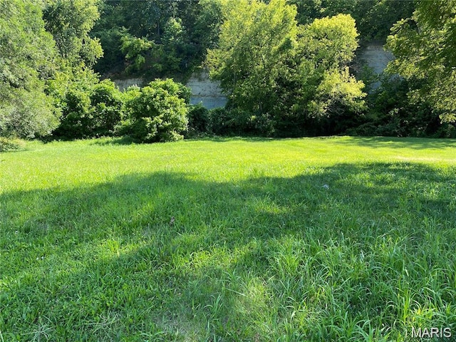 2209 Gordon St, Hannibal, MO 63401