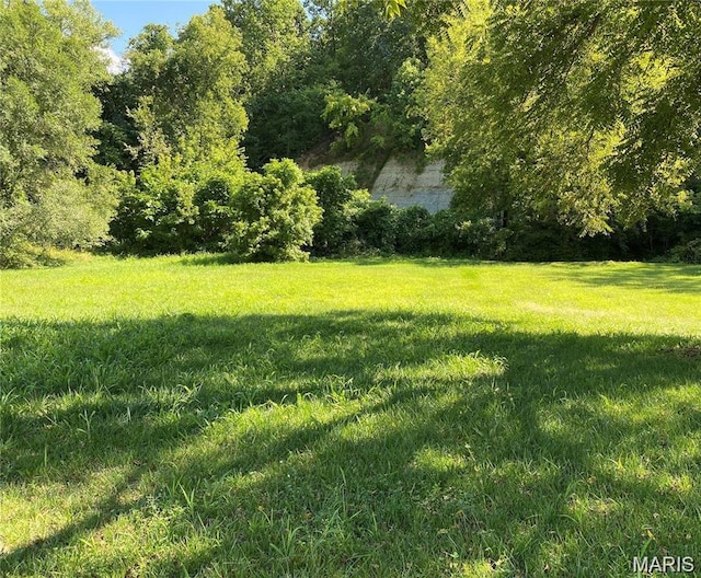 2209 Gordon St, Hannibal, MO 63401