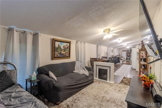 106 Red Bud Cir, Saint Robert, MO 65584 - living area featuring ceiling fan, a textured ceiling, and lofted ceiling