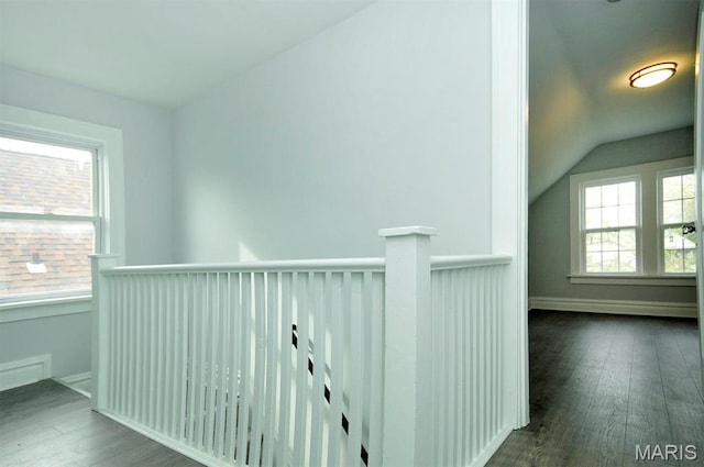 6834 Bradley Ave, Saint Louis, MO 63139 - photo 28