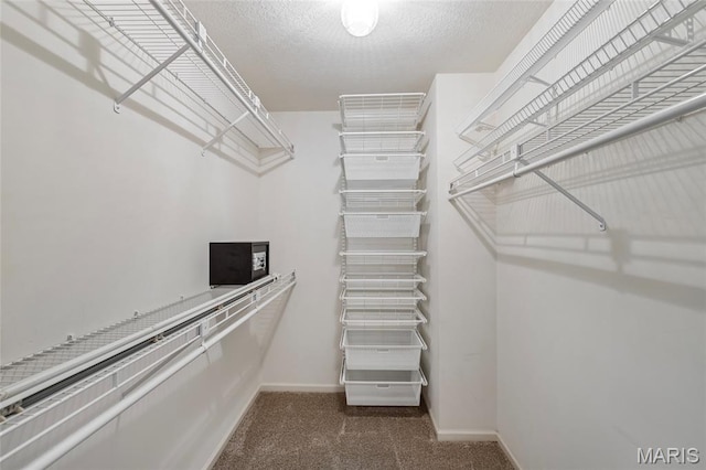 2028 During Dr, Arnold, MO 63010 - walk in closet with carpet floors