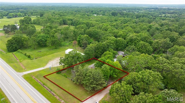 19954 Ironwood Ln, Lebanon, MO 65536 - view of property location with property boundaries highlighted and a forest