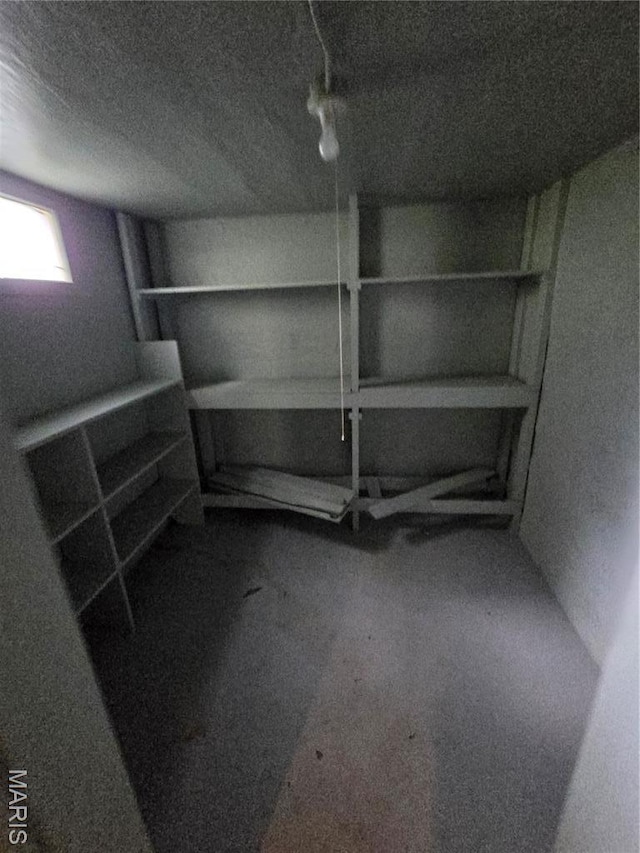 8108 Saint Charles Rock Rd, Saint Louis, MO 63114 - view of storage