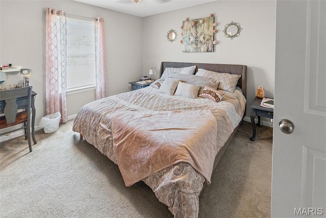 101 Shiloh Ridge Dr, Shiloh, IL 62221 - bedroom featuring carpet floors and baseboards