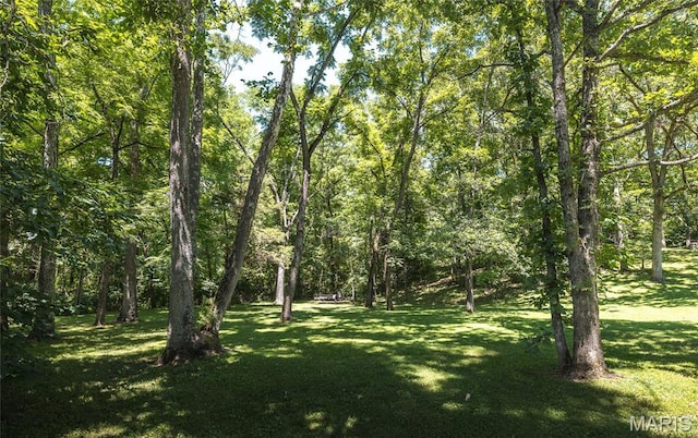 15550 US Highway 63, Rolla, MO 65401 - view of tree filled area