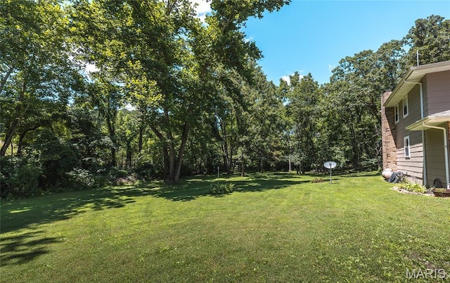 15550 US Highway 63, Rolla, MO 65401 - view of grassy yard
