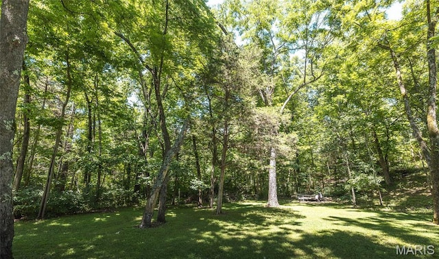 15550 US Highway 63, Rolla, MO 65401 - view of grassy yard featuring a view of trees