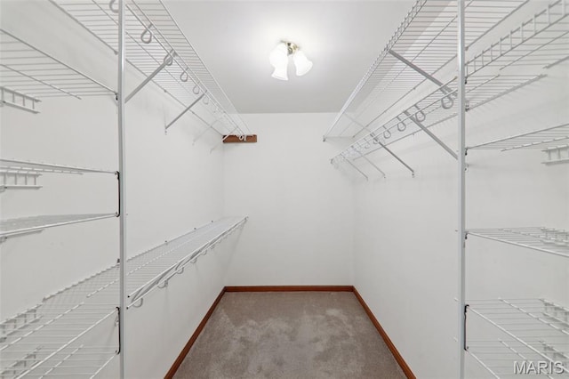 67 High Trails Dr, Eureka, MO 63025 - spacious closet featuring carpet