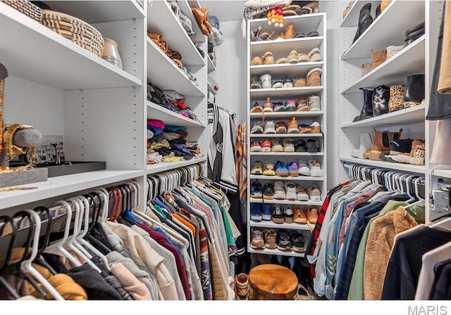 1855 Grassy Ridge Rd, Kirkwood, MO 63122 - view of spacious closet