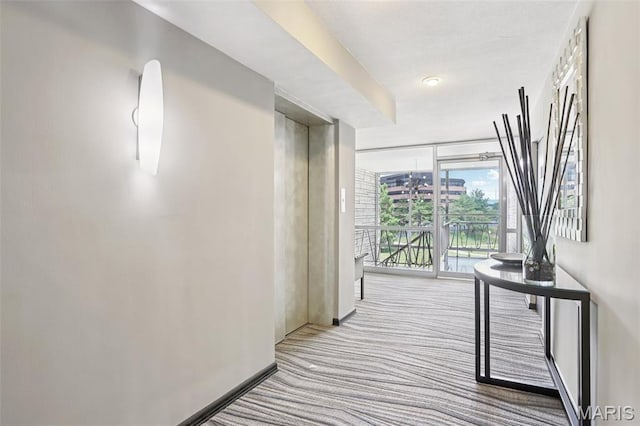 520 S Brentwood Blvd Unit 3A, Saint Louis, MO 63105 - hallway featuring carpet flooring and floor to ceiling windows