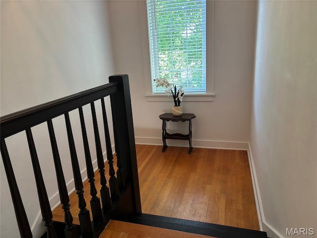 1223 Rockwood Dr, Cape Girardeau, MO 63701 - photo 20