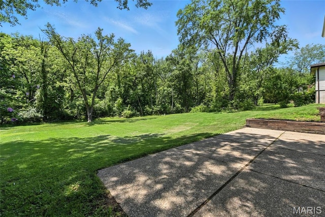 15282 Springrun Dr, Chesterfield, MO 63017 - view of green lawn featuring a patio area