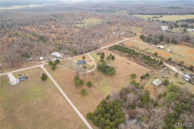 10769 Province Rd, Irondale, MO 63648 - photo 13