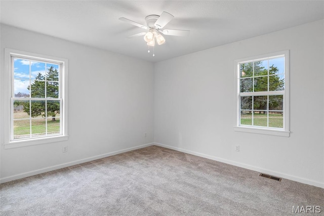 10769 Province Rd, Irondale, MO 63648 - photo 53