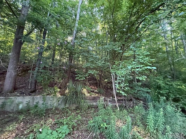 19914 State Highway Mm, Glen Allen, MO 63751 - photo 6