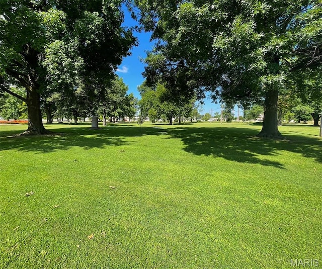 712 W Oak St, Dexter, MO 63841 - view of grassy yard