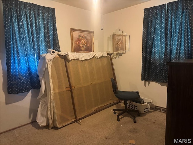 3148 Davis Ave, Granite City, IL 62040 - miscellaneous room with carpet flooring