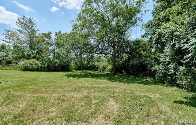 20 Yellowstone Ct, Saint Peters, MO 63376 - photo 35