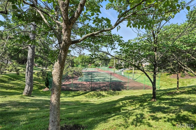 8983 S Swan Cir, Brentwood, MO 63144 - photo 27