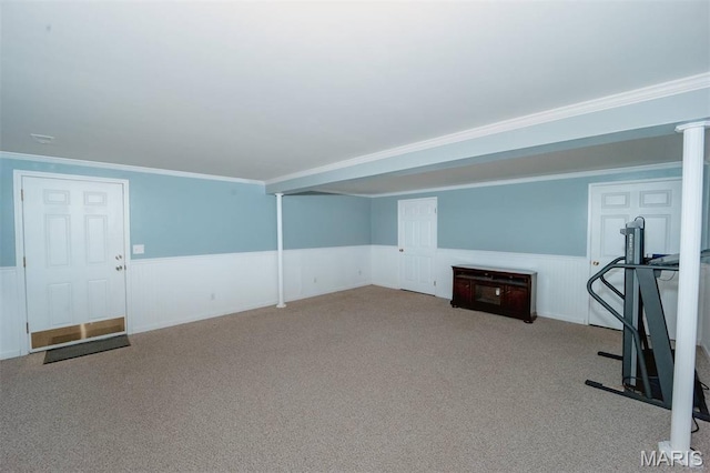 7040 Oak Shadow Ln, High Ridge, MO 63049 - workout room with wainscoting, carpet flooring, and ornamental molding