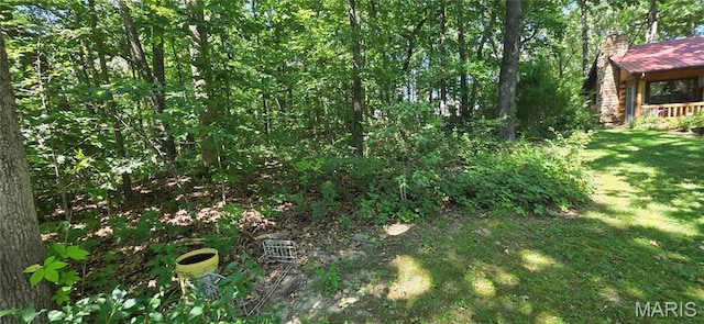 1158 Sunset Dr, Bloomsdale, MO 63627 - photo 23