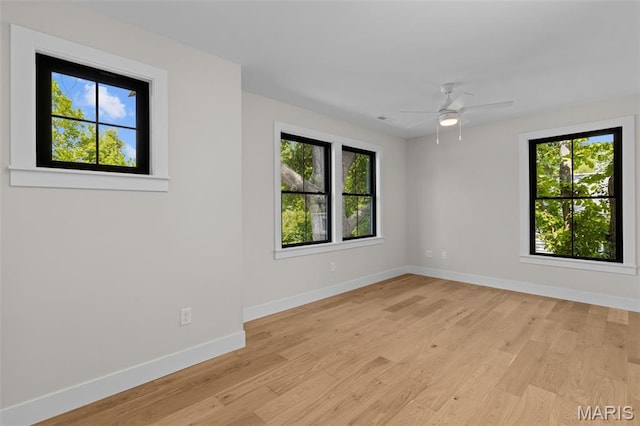 804 E Pacific Ave, Webster Groves, MO 63119 - photo 56