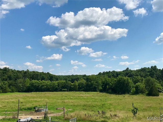 1462 Windle Rd, Cuba, MO 65453 - view of yard with a view of rural / pastoral area and a view of trees