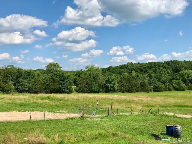 1462 Windle Rd, Cuba, MO 65453 - view of yard with a rural view and a forest view
